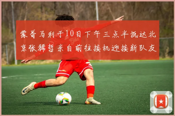 蒙哥马利于10日下午三点半抵达北京张稀哲亲自前往接机迎接新队友